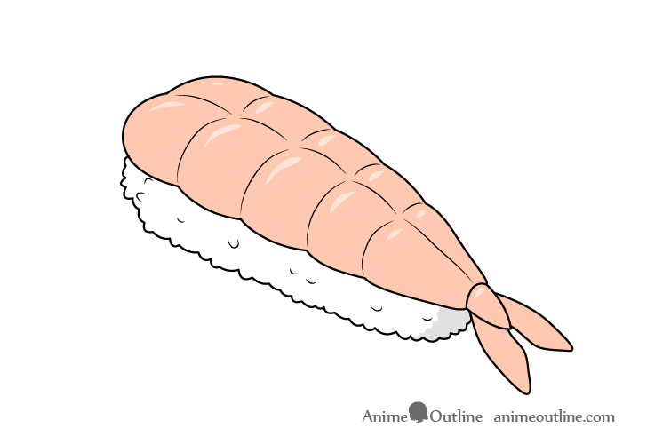 Sushi ebi nigiri drawing